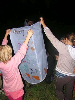 Blatiny 2010